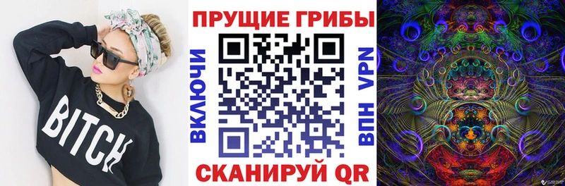 Псилоцибиновые грибы MAGIC MUSHROOMS  где продают   mega зеркало  Воронеж 